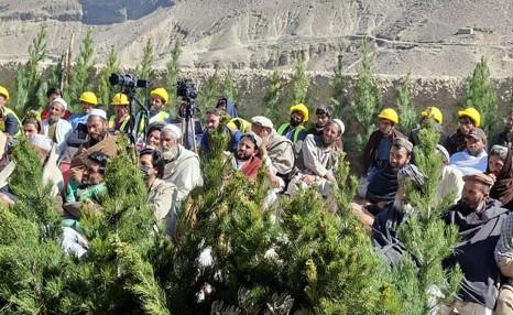 Tree Plantation Project